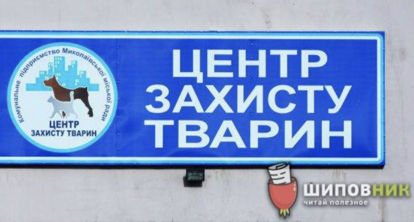 Знімок екрана 2020-01-04 о 20.37.30